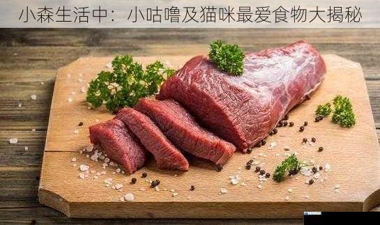 肉类食物篇