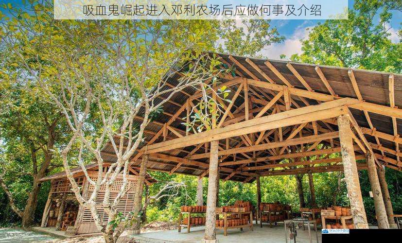 探索农场环境