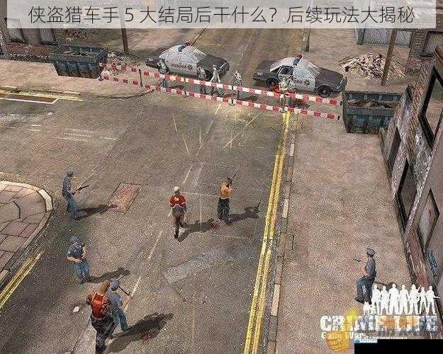 继续犯罪生涯