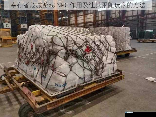 提供物资支援