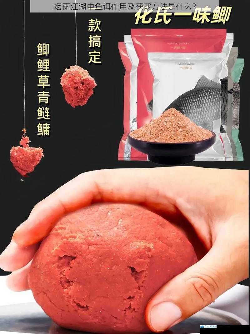 鱼饵的作用