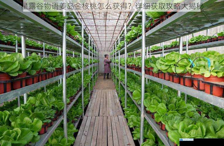 种植特殊作物