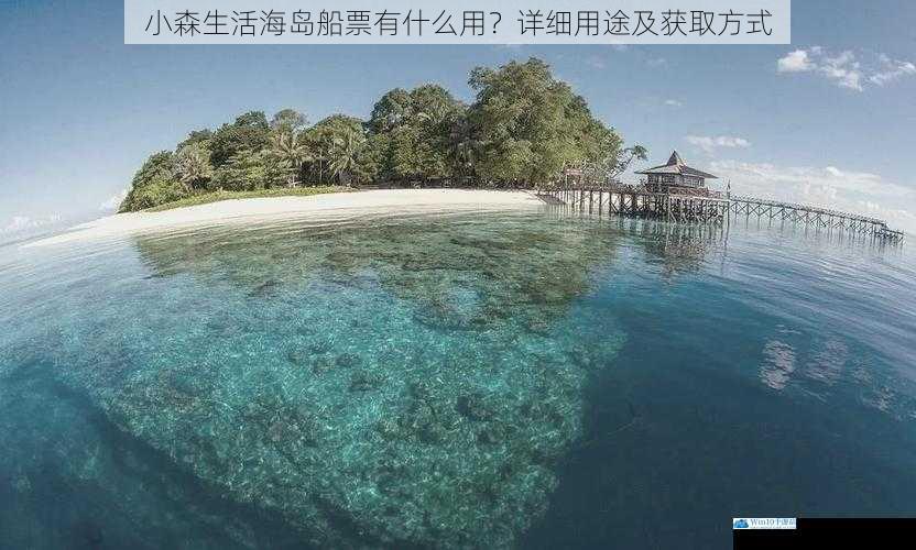 探索神秘海岛