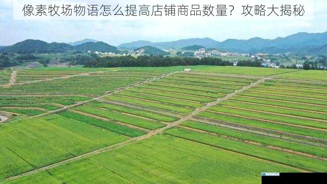合理规划农田种植