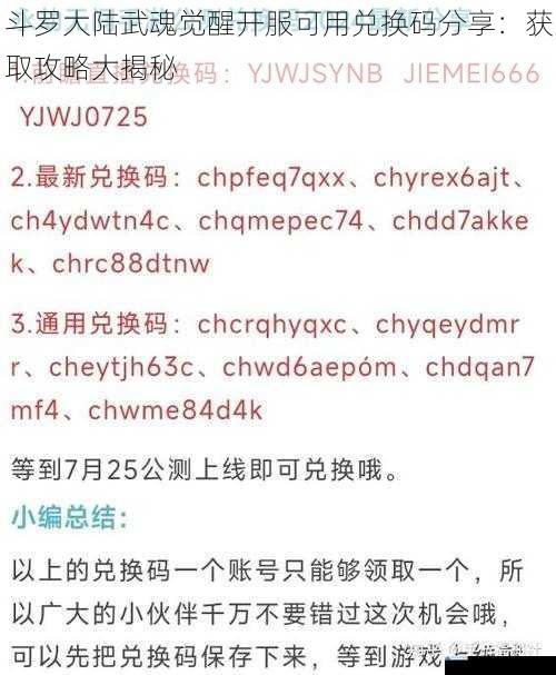 官方渠道兑换码
