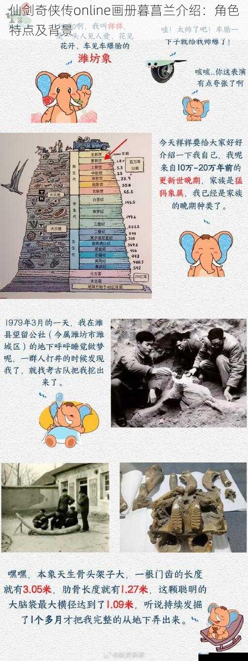 身世之谜
