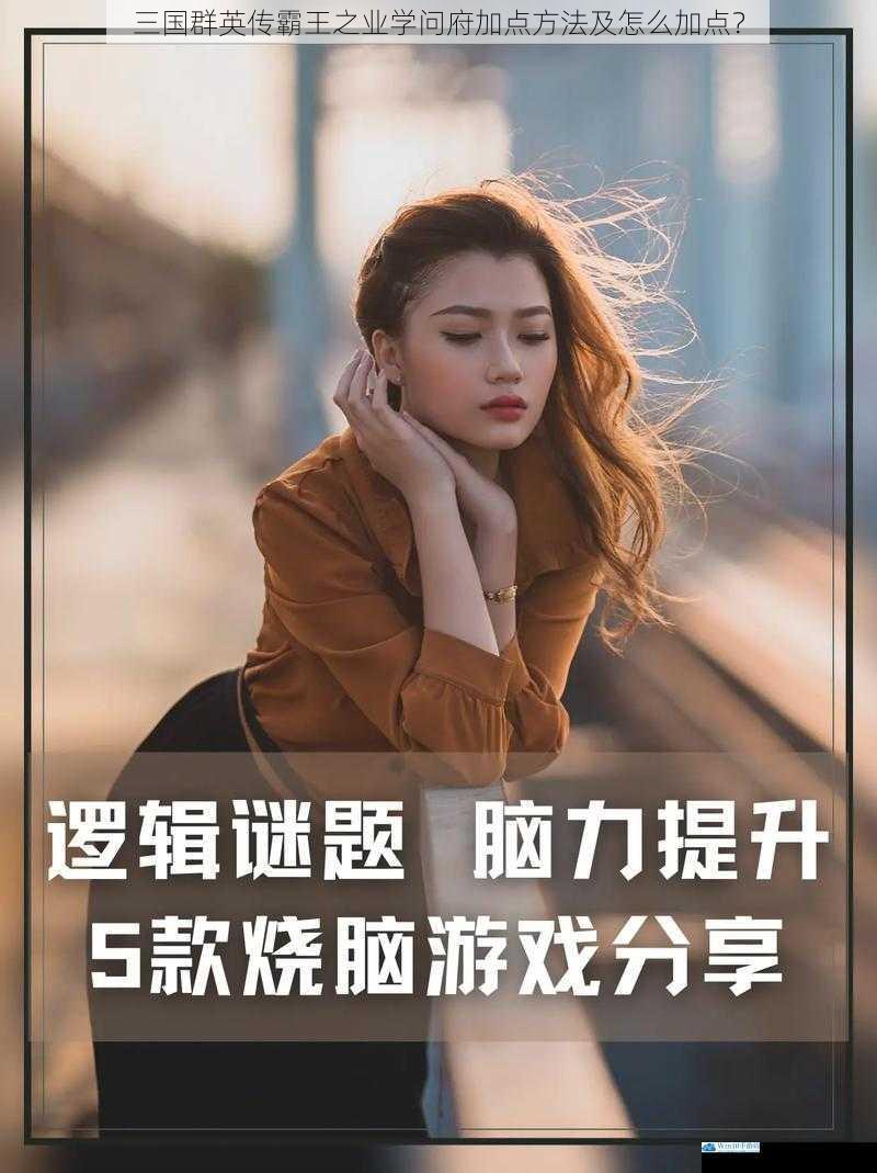 智力提升:智慧之光