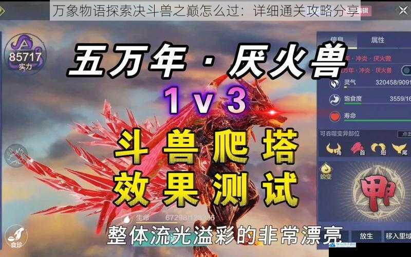 了解决斗兽属性