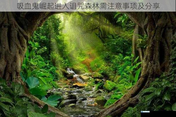 了解诅咒森林的地形与环境