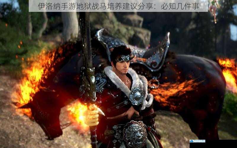 了解地狱战马的属性