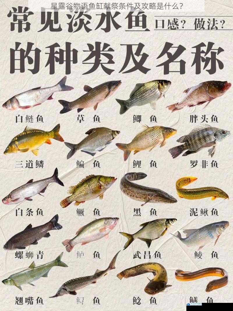 鱼类选择