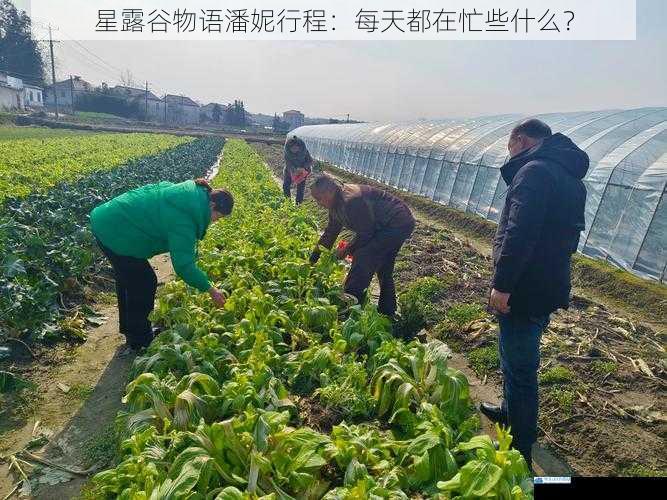 种植与照料农作物