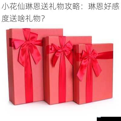 服装类礼物