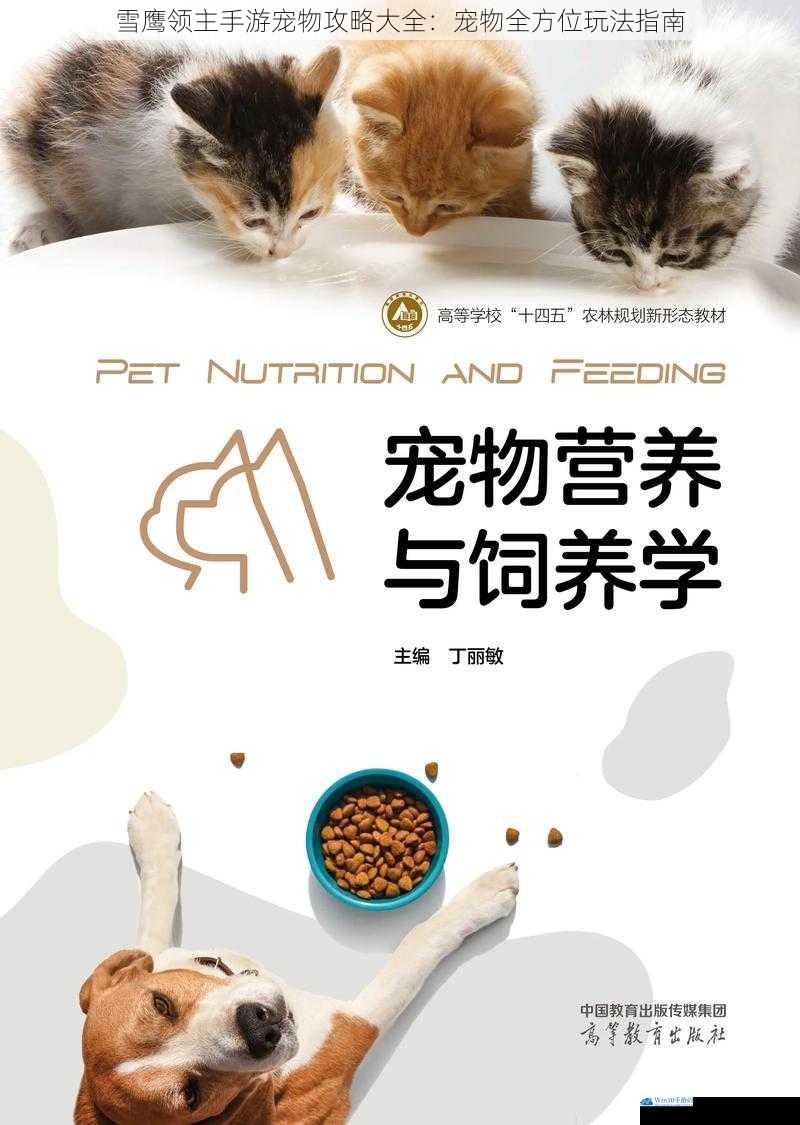 宠物获取与培养