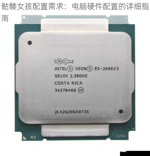 处理器(CPU)