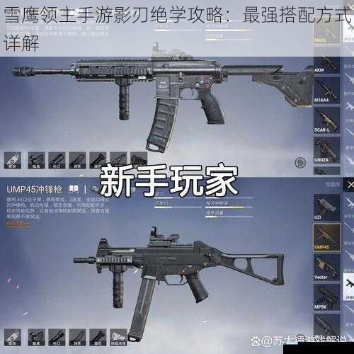 武器与绝学搭配