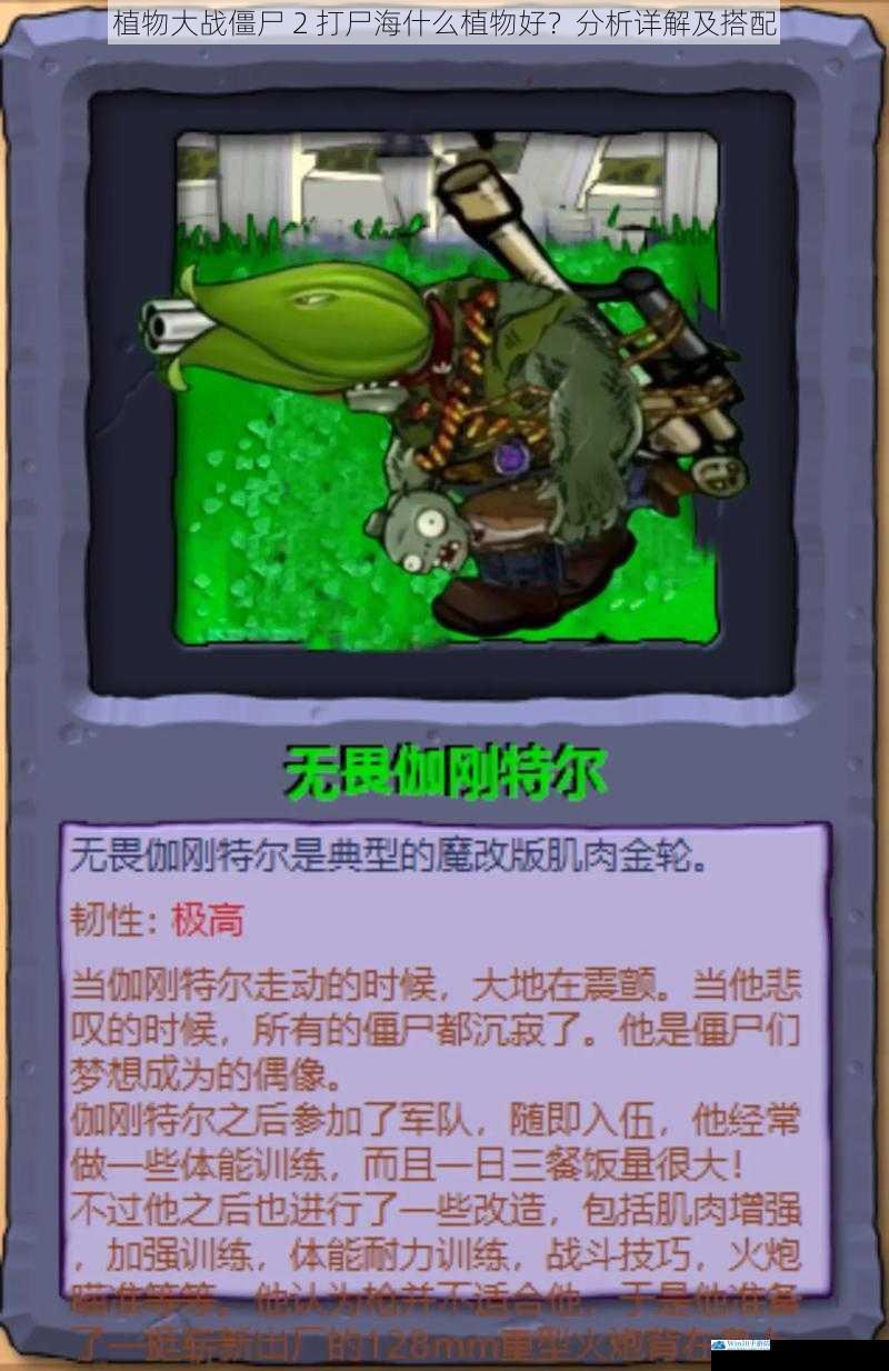 高伤害输出植物