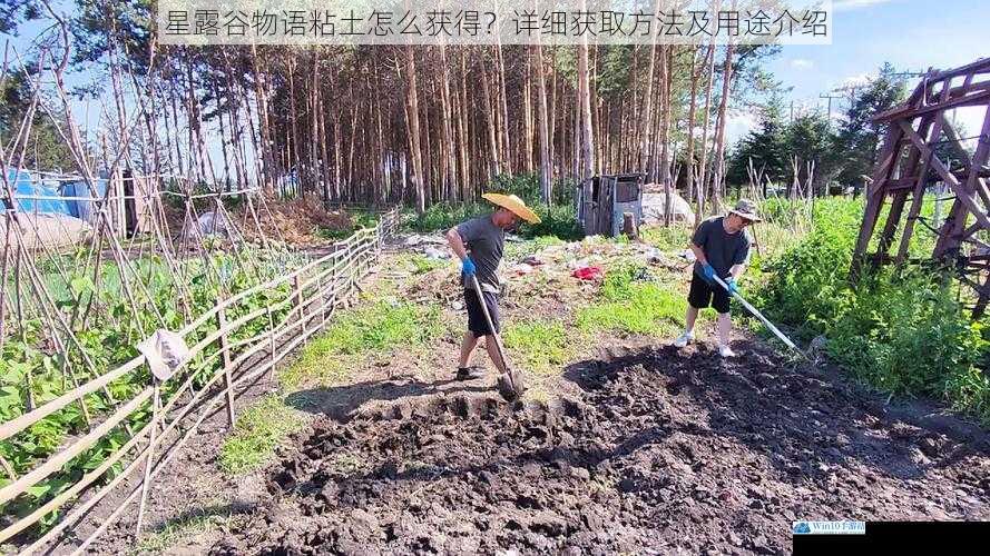 在农场挖掘