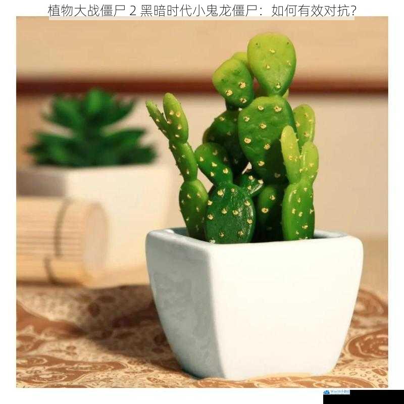 选择合适的植物
