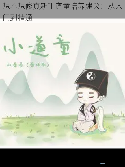 选择合适的道童
