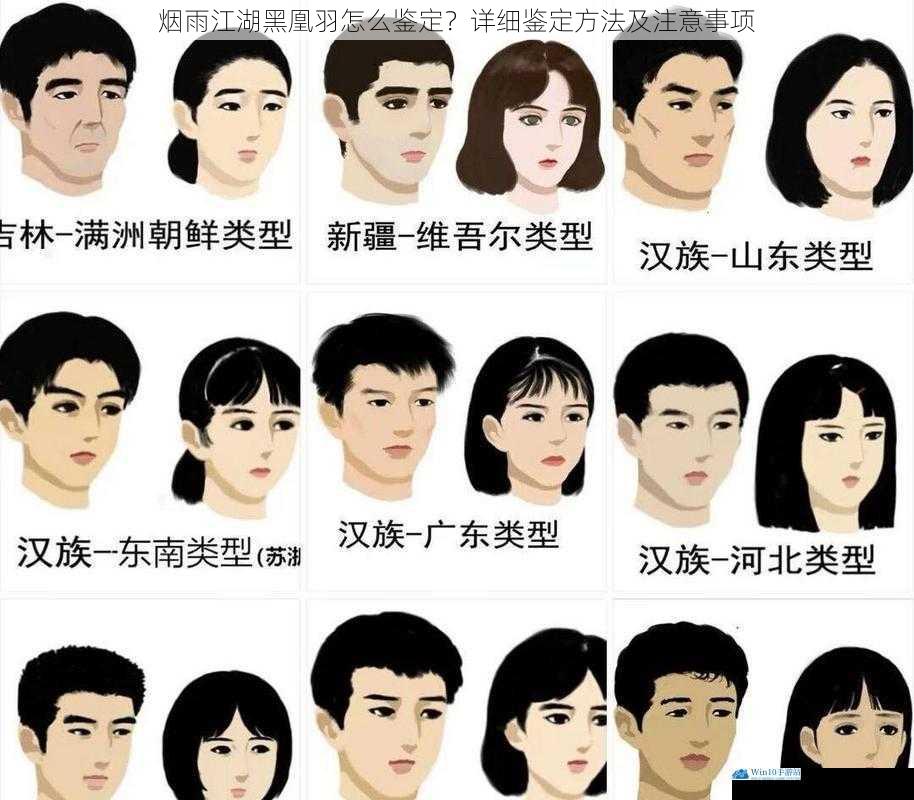 外观特征
