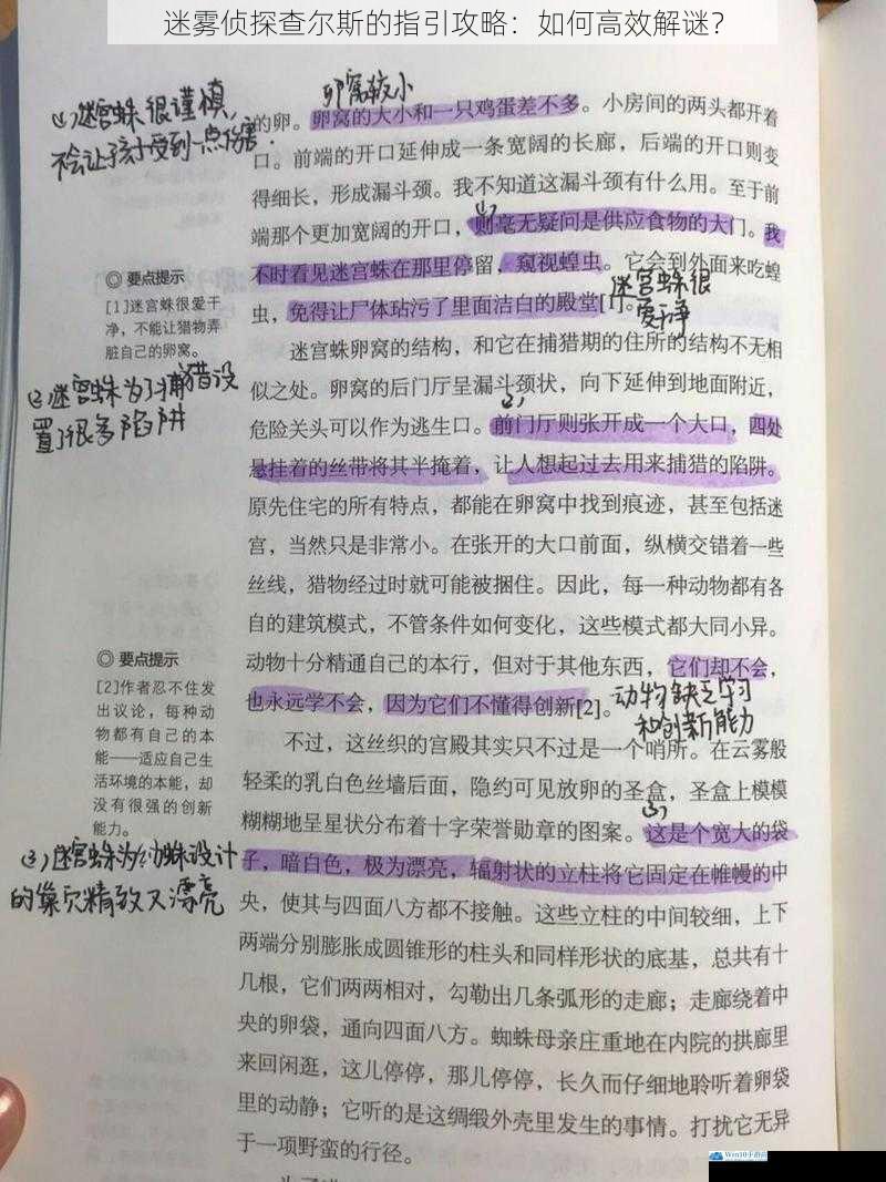 观察细节,不放过任何蛛丝马迹