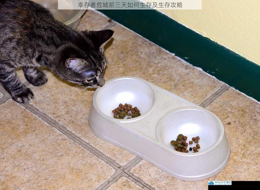 寻找食物与水源