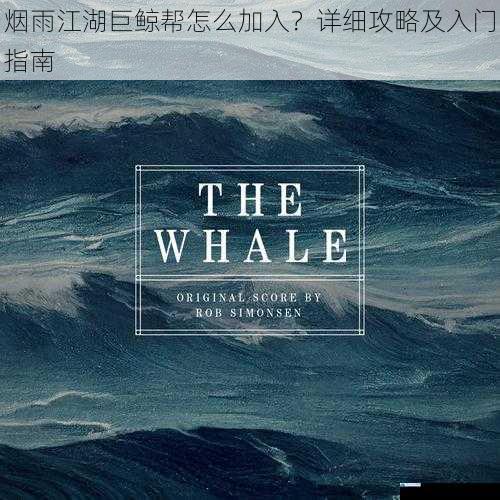 了解巨鲸帮的背景与文化