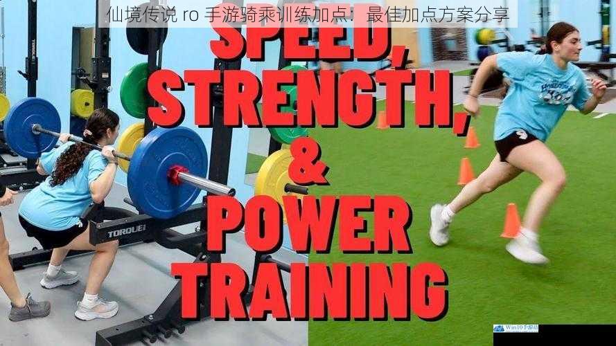 速度与敏捷的平衡