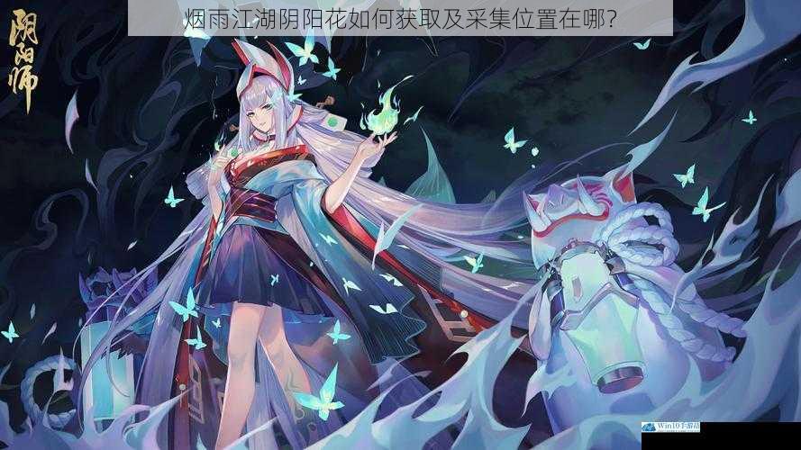 游戏背景与阴阳花的重要性
