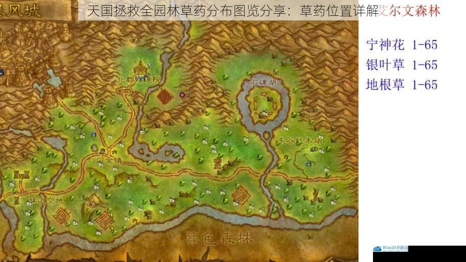 森林草药分布