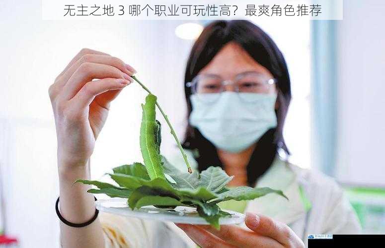 技能多样性