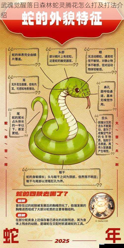 了解蛇灵腾花的属性与技能