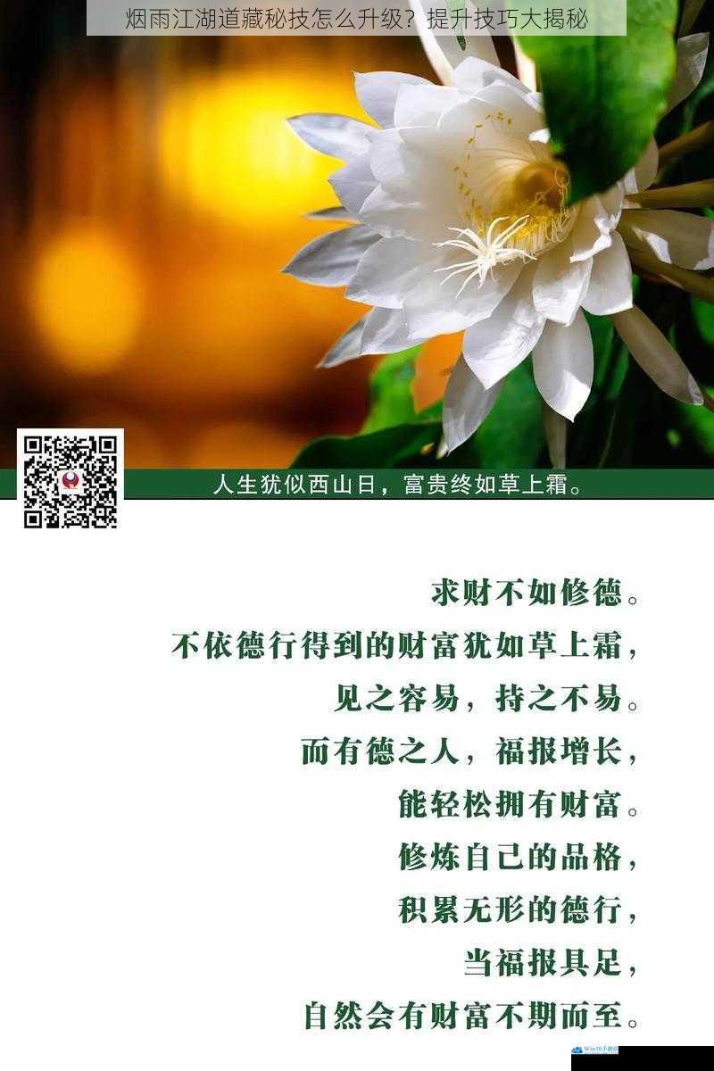 修炼之道:持之以恒的积累