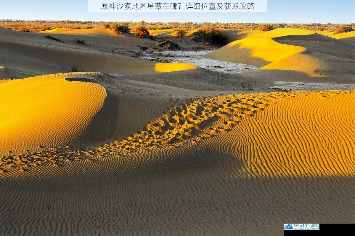 沙漠边缘的隐秘之地