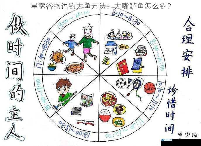 选择合适的时间和地点