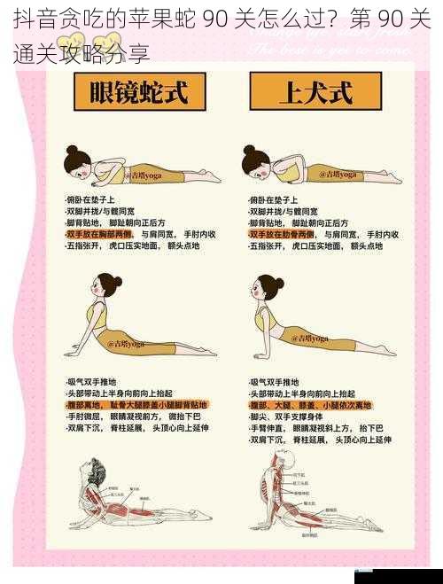 掌握蛇身控制技巧