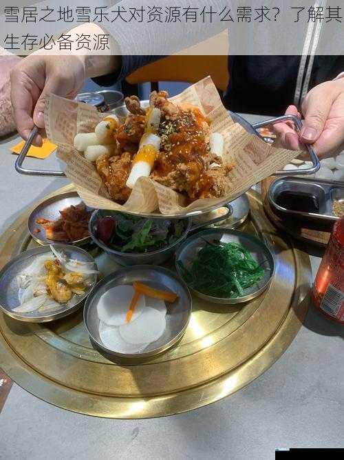 食物资源