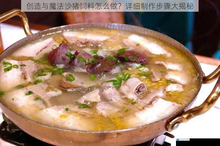 了解沙猪的饮食习惯