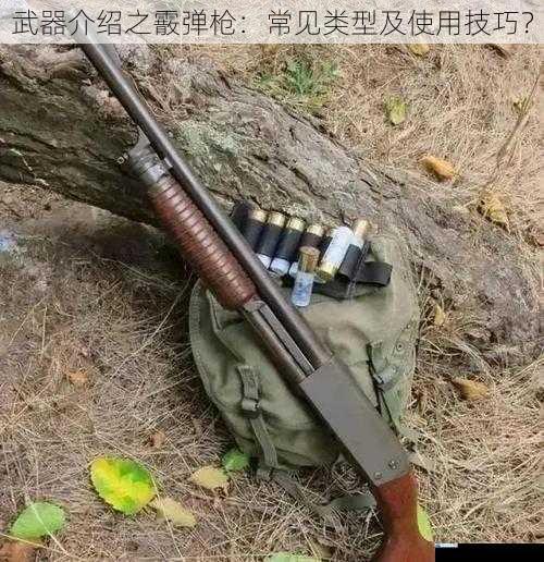 霰弹枪的历史与发展
