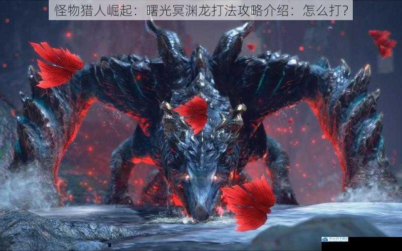 了解冥渊龙的习性