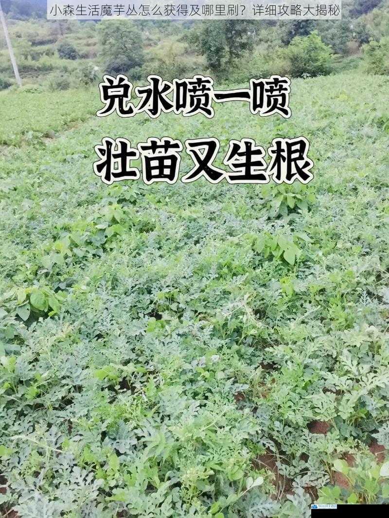 种植获得