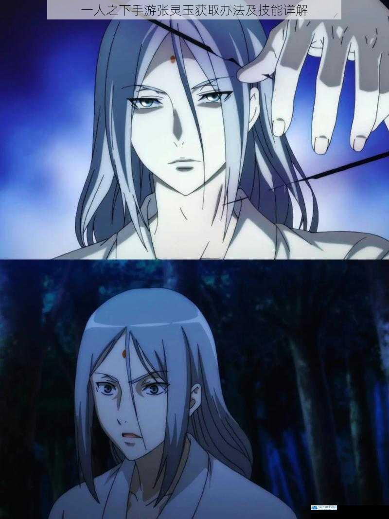 张灵玉的获取途径