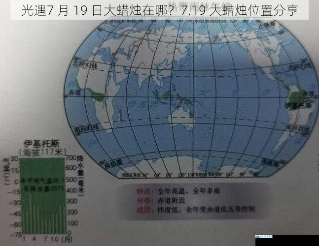 雨林地图