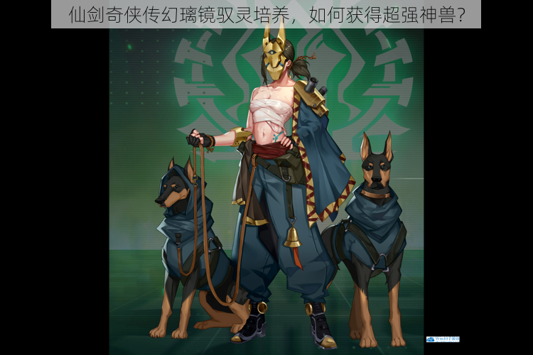 选择合适的驭灵