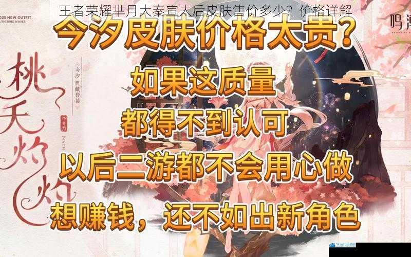 皮肤品质与定价
