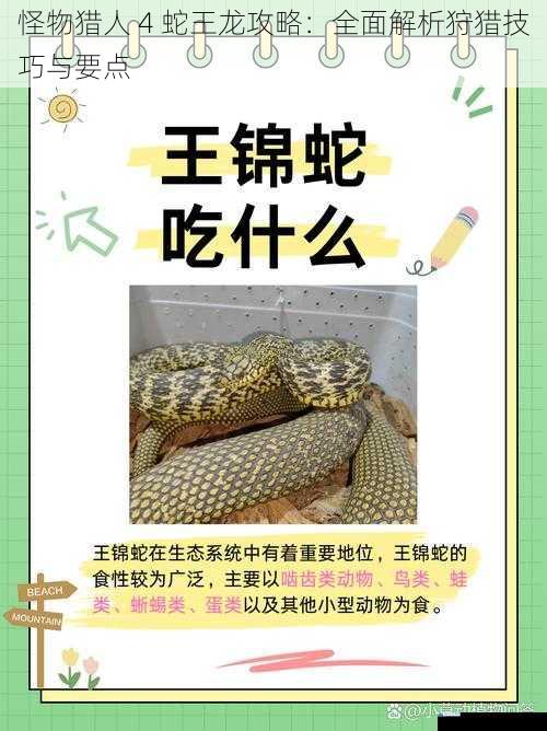 了解蛇王龙的习性
