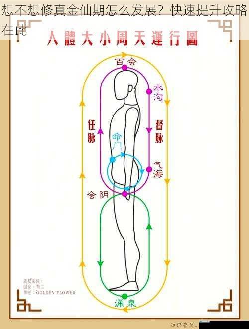 修炼功法与秘籍