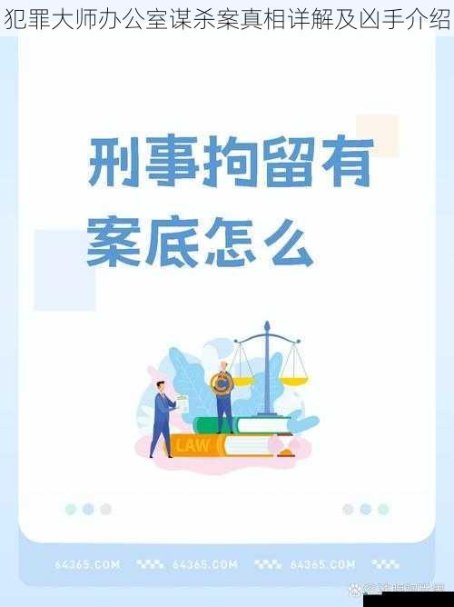 案件背景