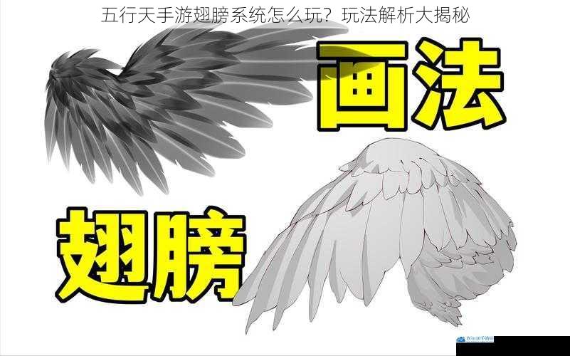 获取翅膀途径